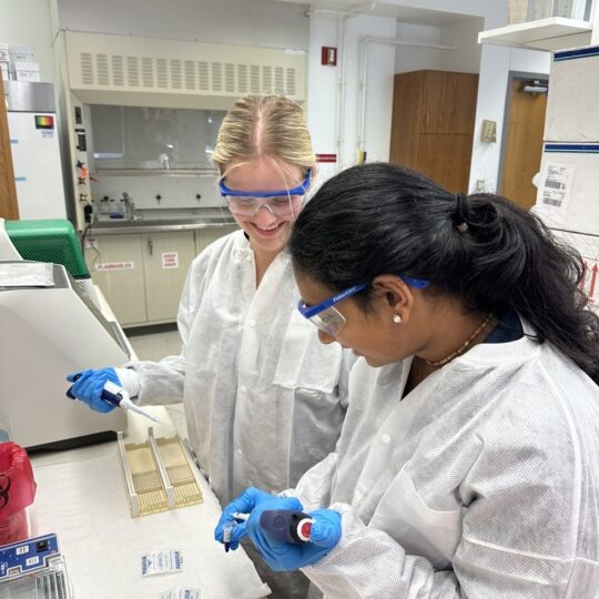 Students working together in a science laboratory. Community Advancement – Eastin Foundation Focus Areas